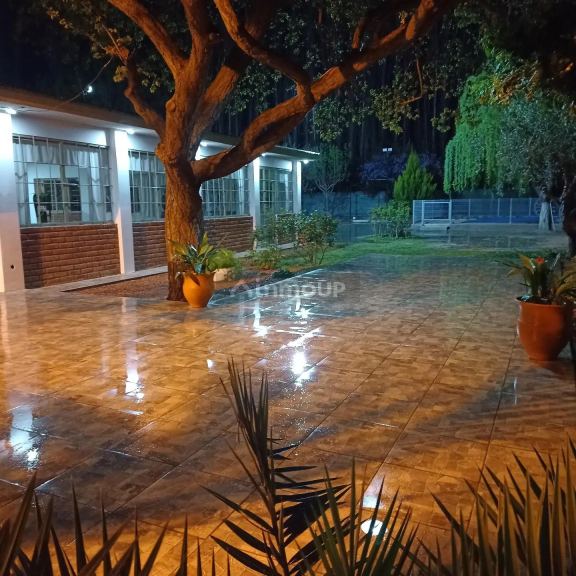 Casa Quinta en Venta en Maipu, Mendoza