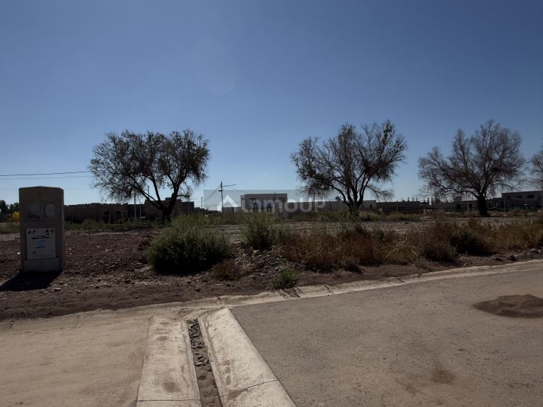 Lote en Venta en Lujan de Cuyo, Mendoza
