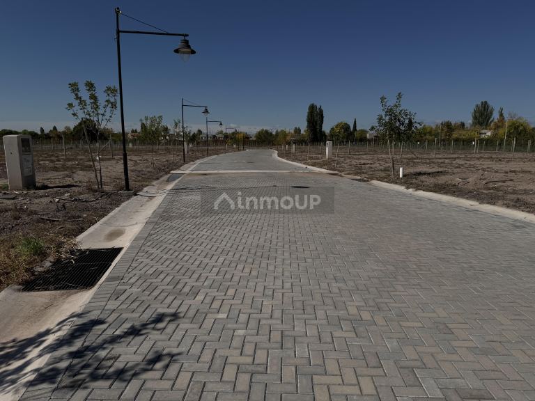 Lote en Venta en Lujan de Cuyo, Mendoza