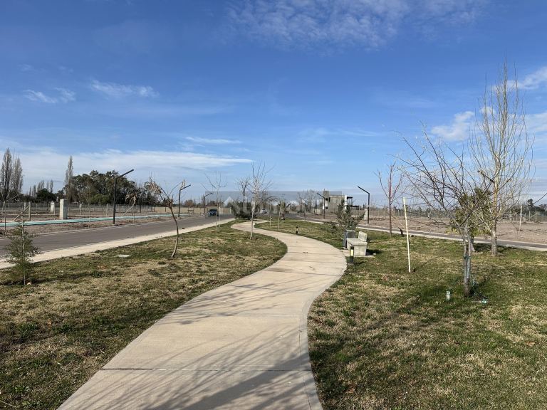Lote en Venta en Lujan de Cuyo, Mendoza