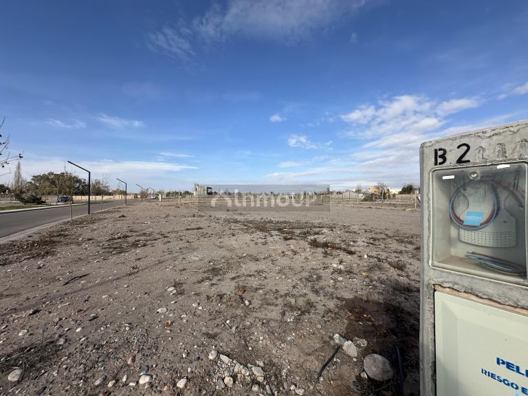 Lote en Venta en Lujan de Cuyo, Mendoza