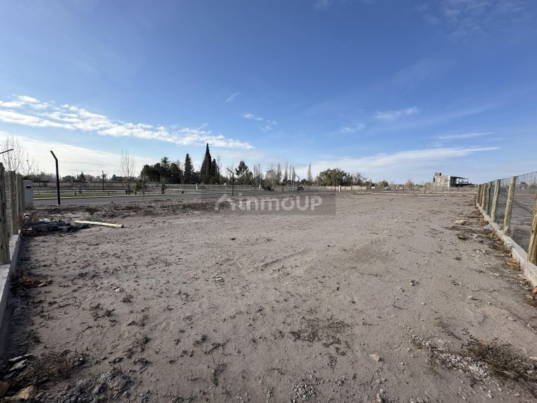 Lote en Venta en Lujan de Cuyo, Mendoza