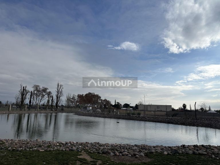 Lote en Venta en Lujan de Cuyo, Mendoza