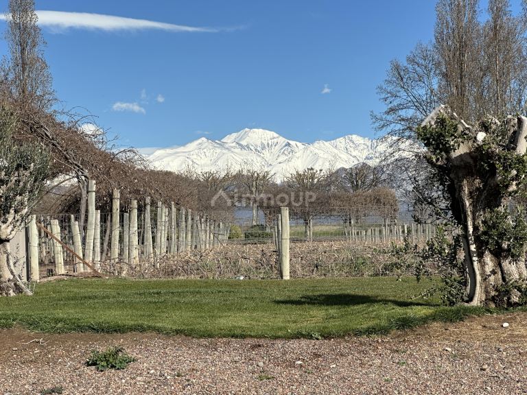 Lote en Venta en Lujan de Cuyo, Mendoza - USD 130.000 | Inmoup - 24