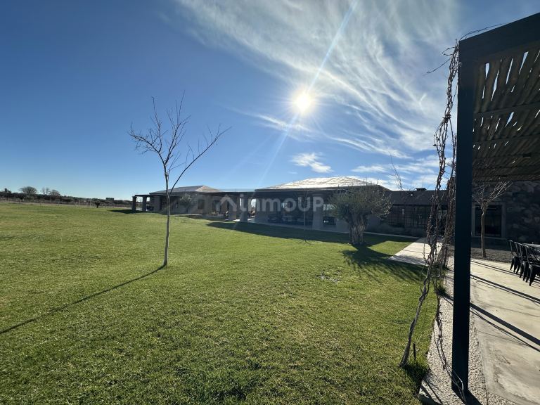 Lote en Venta en Lujan de Cuyo, Mendoza - USD 130.000 | Inmoup - 20
