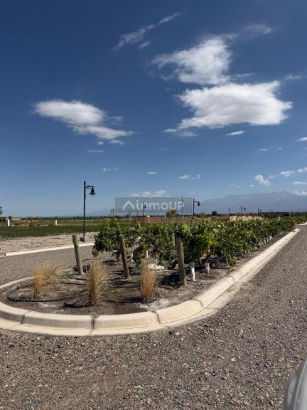 Terreno en Venta en Tupungato, Mendoza