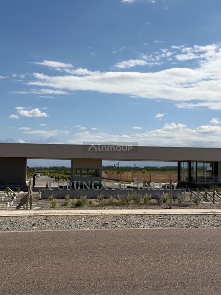 Terreno en Venta en Tupungato, Mendoza