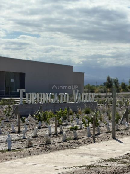 Terreno en Venta en Tupungato, Mendoza