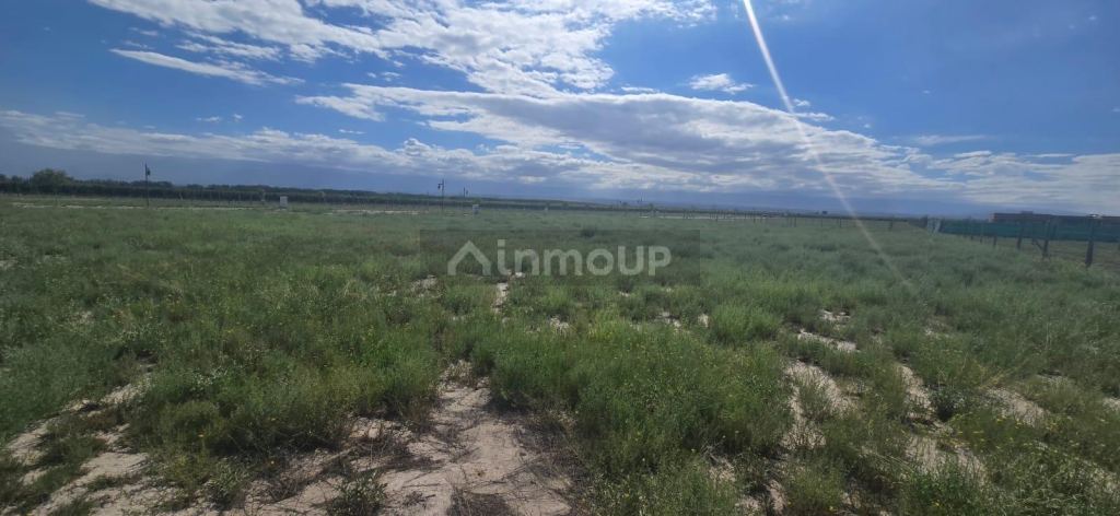 Terreno en Venta en Tupungato, Mendoza