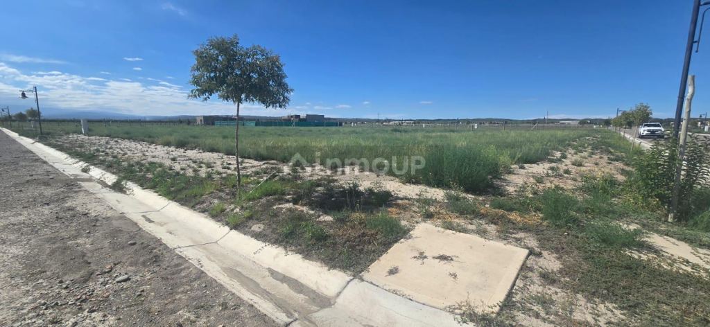 Terreno en Venta en Tupungato, Mendoza