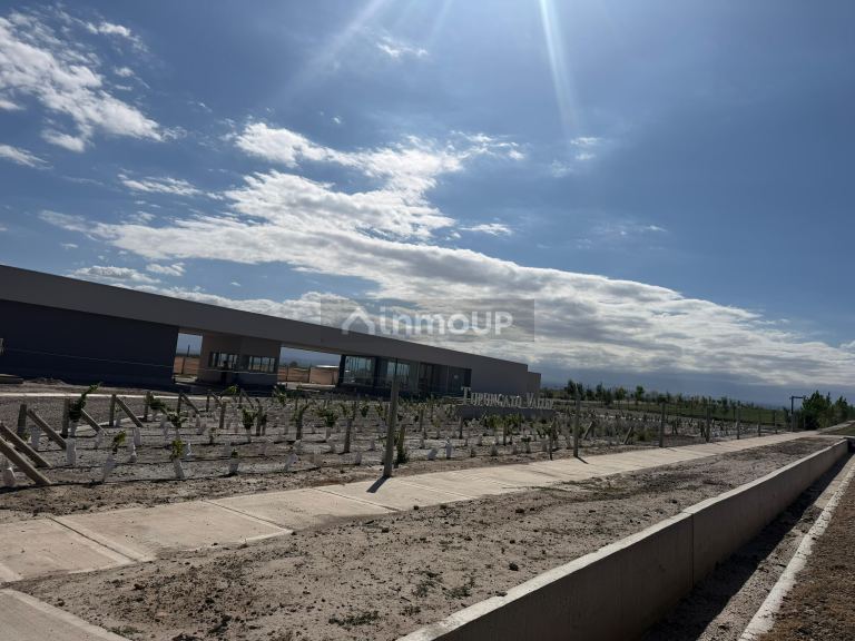 Terreno en Venta en Tupungato, Mendoza