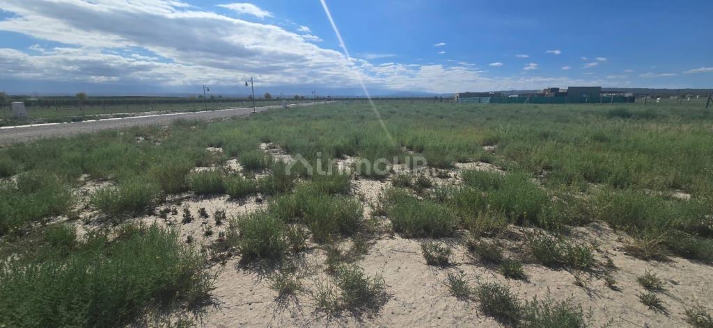 Terreno en Venta en Tupungato, Mendoza