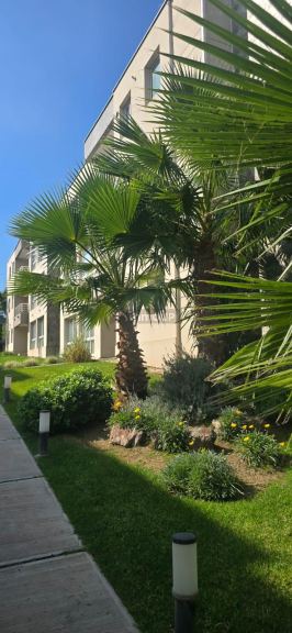 Departamento en Alquiler en Capital, Mendoza