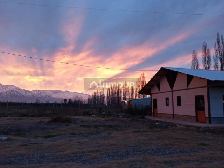 Terreno en Venta en San Carlos, Mendoza