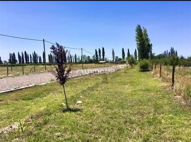 Terreno en Venta en San Carlos, Mendoza