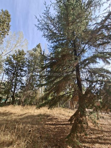 Terreno en Venta en Lujan de Cuyo, Mendoza