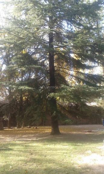 Terreno en Venta en Lujan de Cuyo, Mendoza