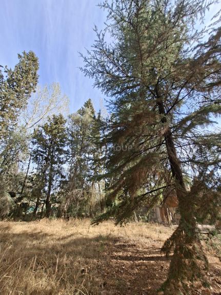 Terreno en Venta en Lujan de Cuyo, Mendoza