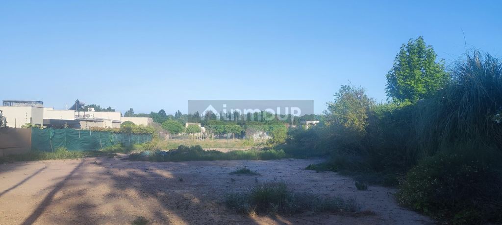 Lote en Venta en Lujan de Cuyo, Mendoza