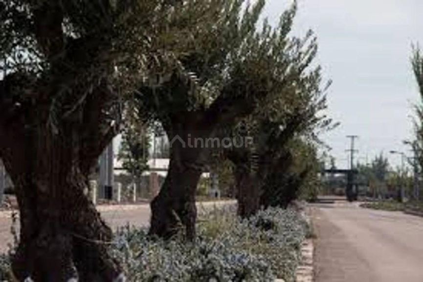 Lote en Venta en Maipu, Mendoza