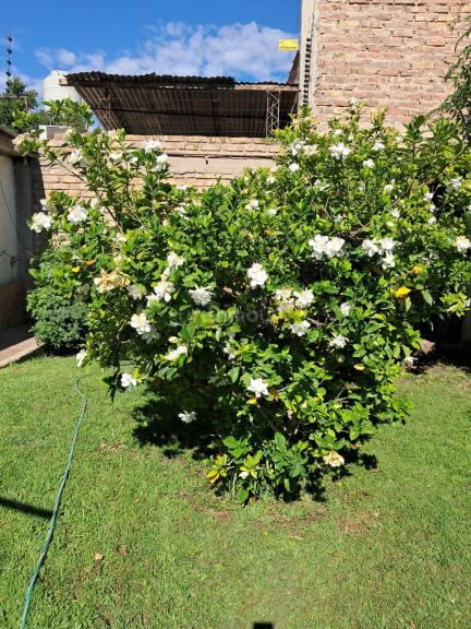 Casa en Venta en Godoy Cruz, Mendoza