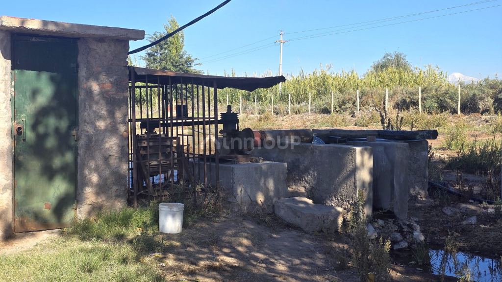 Finca en Venta en San Martin, Mendoza
