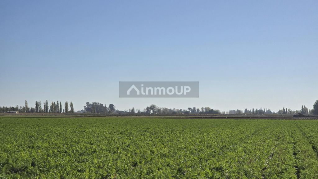 Finca en Venta en San Martin, Mendoza