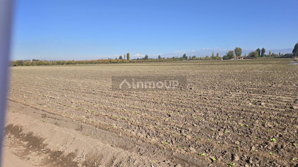 Finca en Venta en San Martin, Mendoza