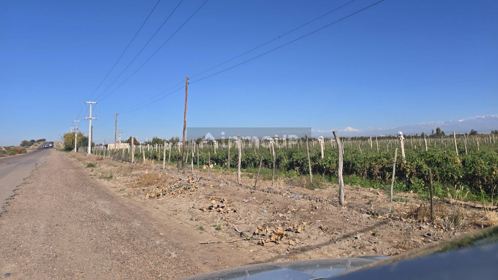 Finca en Venta en San Martin, Mendoza