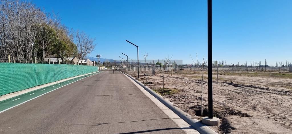Lote en Venta en Lujan de Cuyo, Mendoza