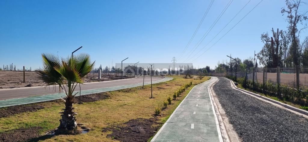 Lote en Venta en Lujan de Cuyo, Mendoza
