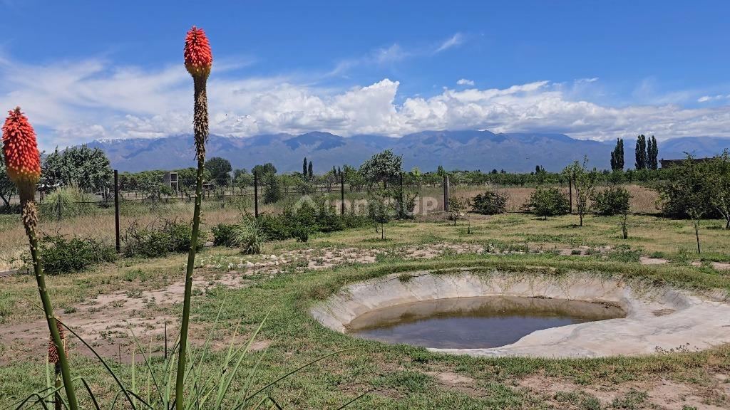 Casa en Venta en San Carlos, Mendoza