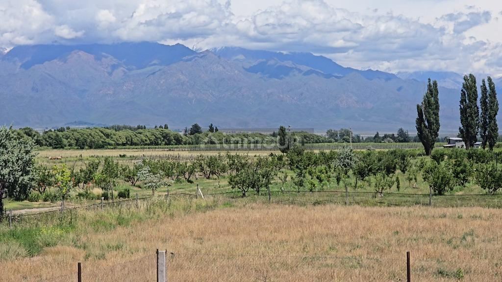 Casa en Venta en San Carlos, Mendoza