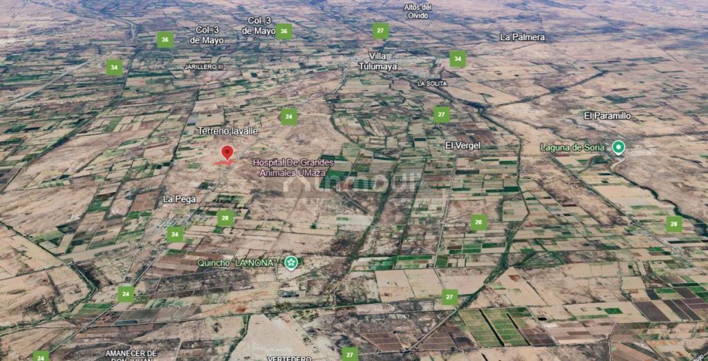 Terreno en Venta en Lavalle, Mendoza