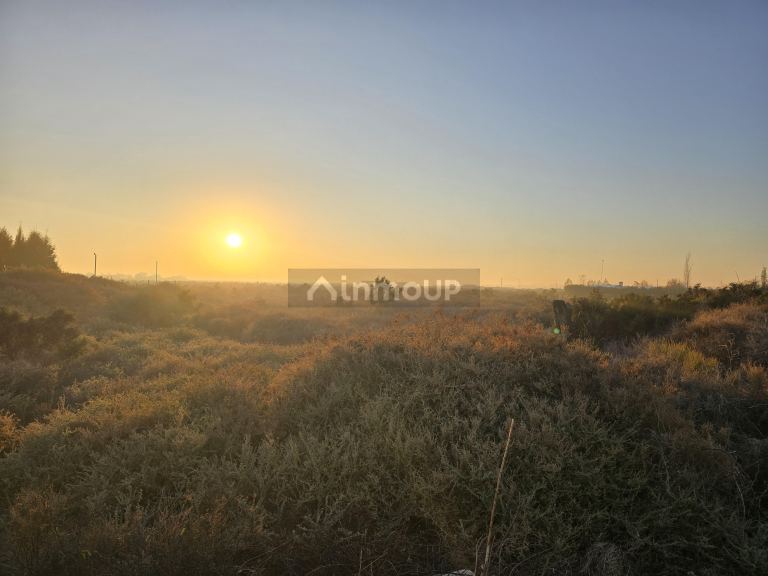 Terreno en Venta en Lavalle, Mendoza