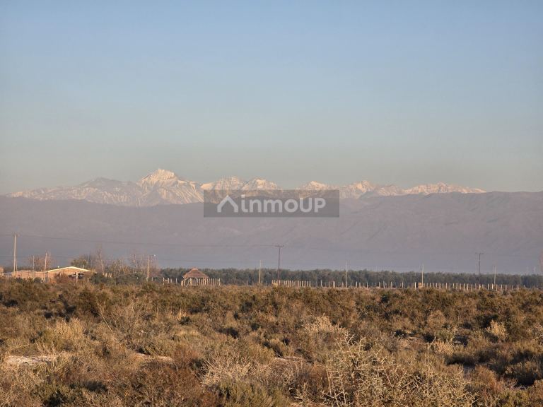 Terreno en Venta en Lavalle, Mendoza