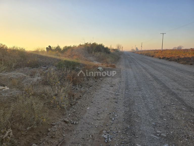 Terreno en Venta en Lavalle, Mendoza