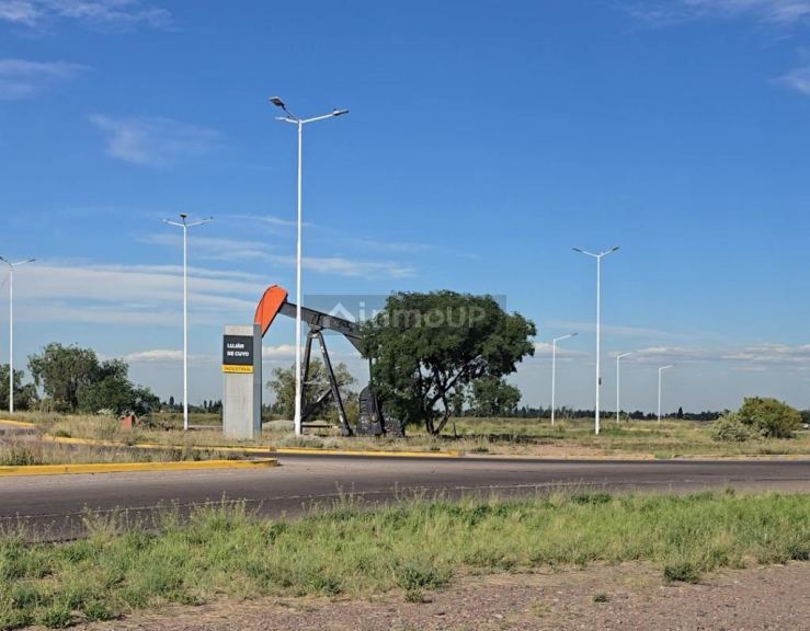 Terreno en Venta en Lujan de Cuyo, Mendoza
