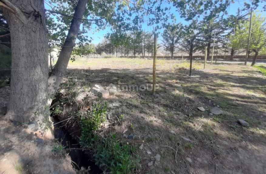 Terreno en Venta en Lujan de Cuyo, Mendoza