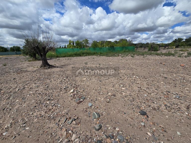 Lote en Venta en Maipu, Mendoza