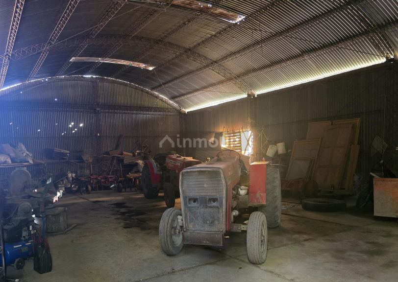 Finca en Venta en San Martin, Mendoza