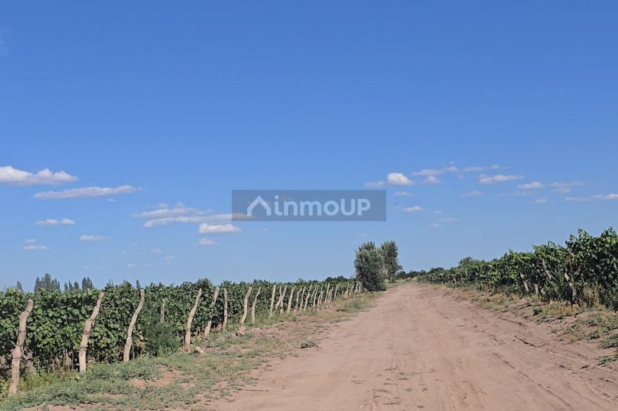 Finca en Venta en San Martin, Mendoza