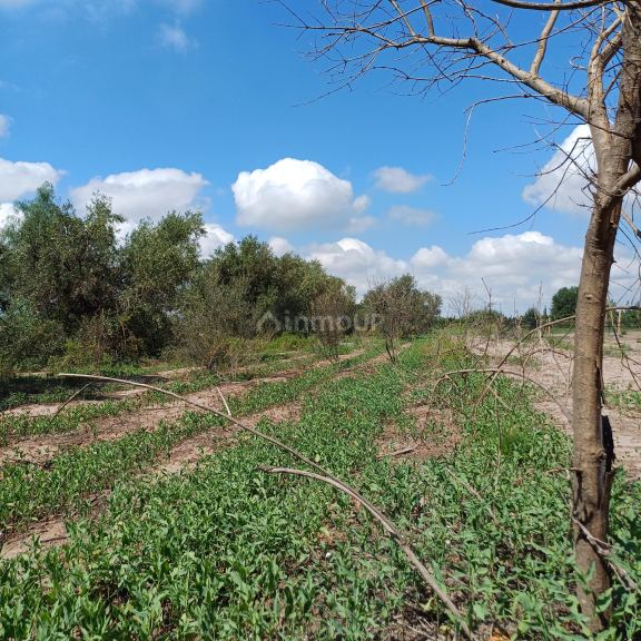 Lote en Venta en Lujan de Cuyo, Mendoza