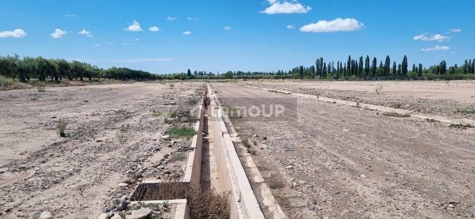 Terreno en Venta en Maipu, Mendoza