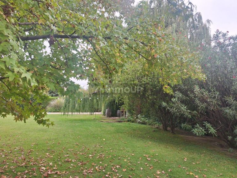 Casa en Alquiler en Lujan de Cuyo, Mendoza