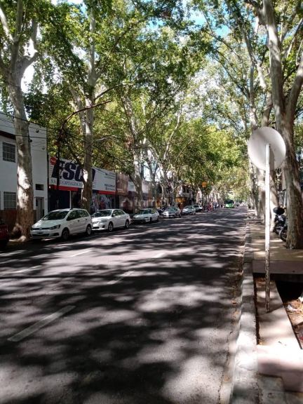 Departamento en Alquiler en Capital, Mendoza