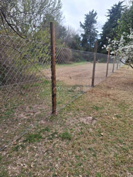 Lote en Venta en Lujan de Cuyo, Mendoza