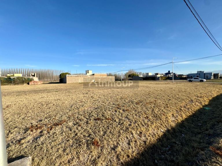 Lote en Venta en Tunuyan, Mendoza