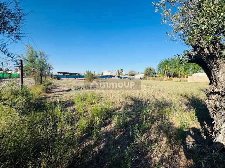 Lote en Venta en Maipu, Mendoza