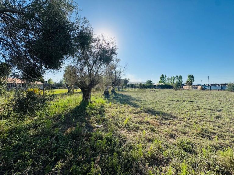 Lote en Venta en Maipu, Mendoza